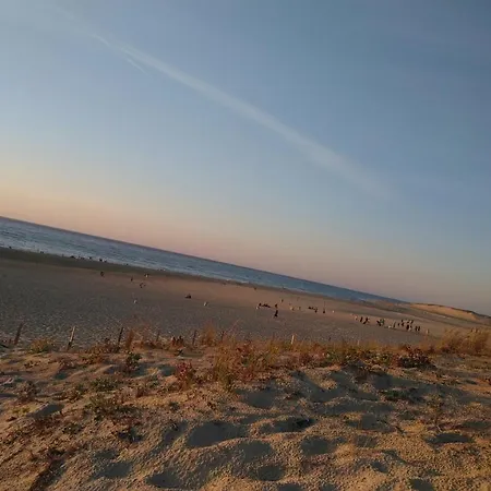 Appartement Le Courant D'huchet *