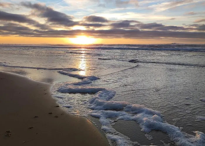 Apartman Le Courant D'huchet